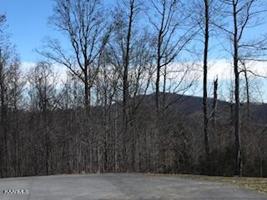 Lot 15 Sunset Blvd