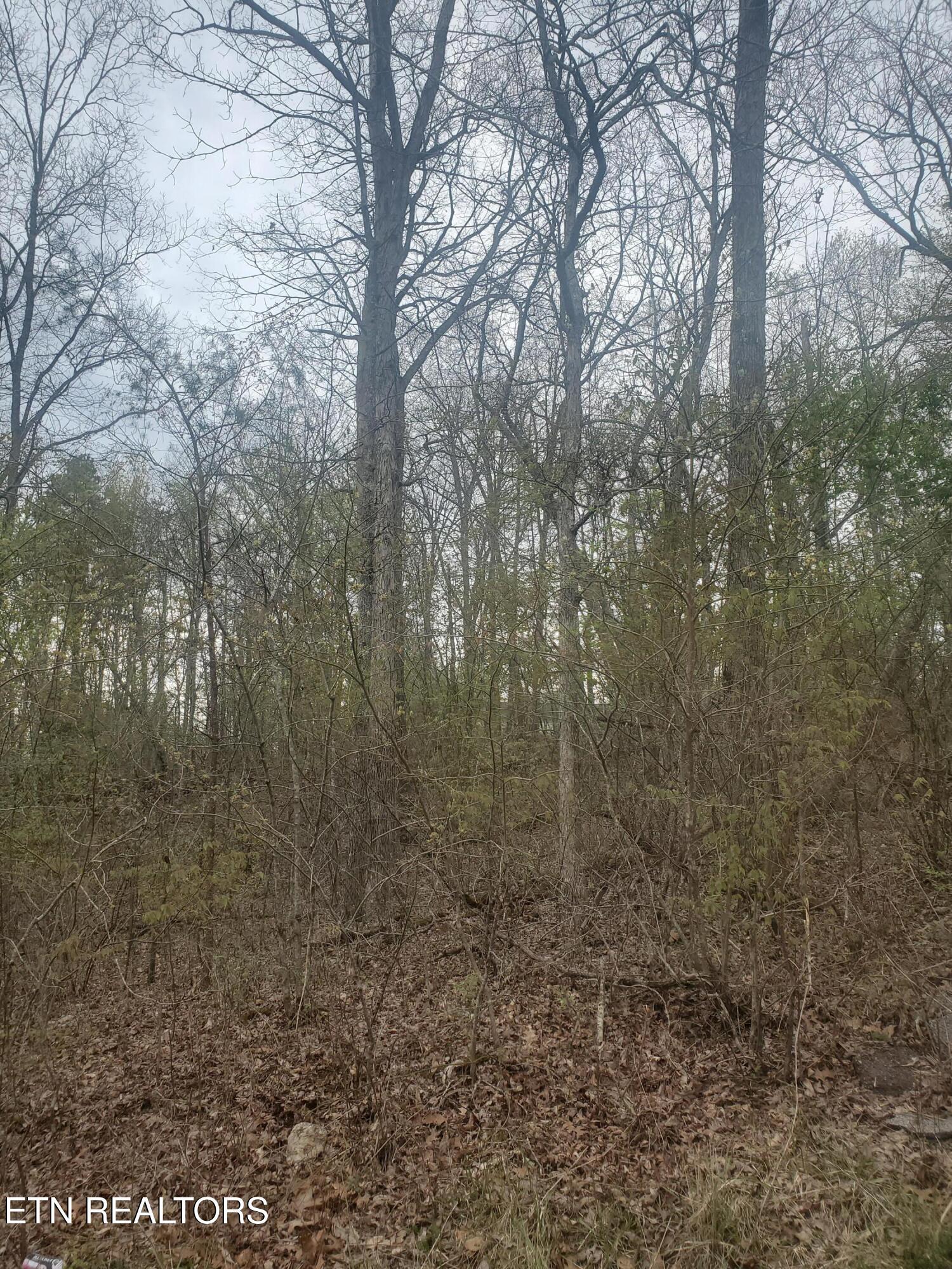Image 3: Cherokee Trail