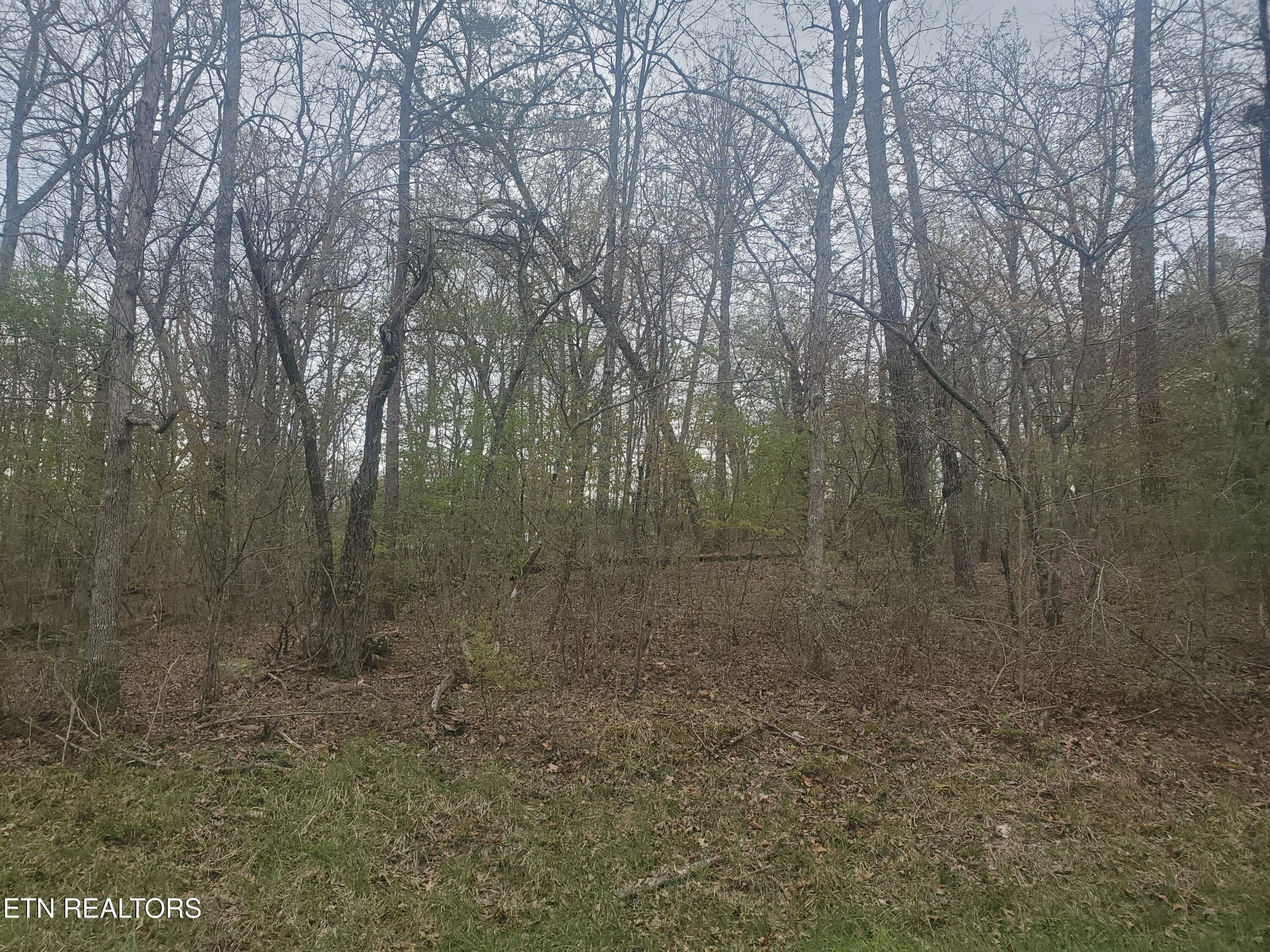 Image 4: Lot 8648 Cherokee Trail