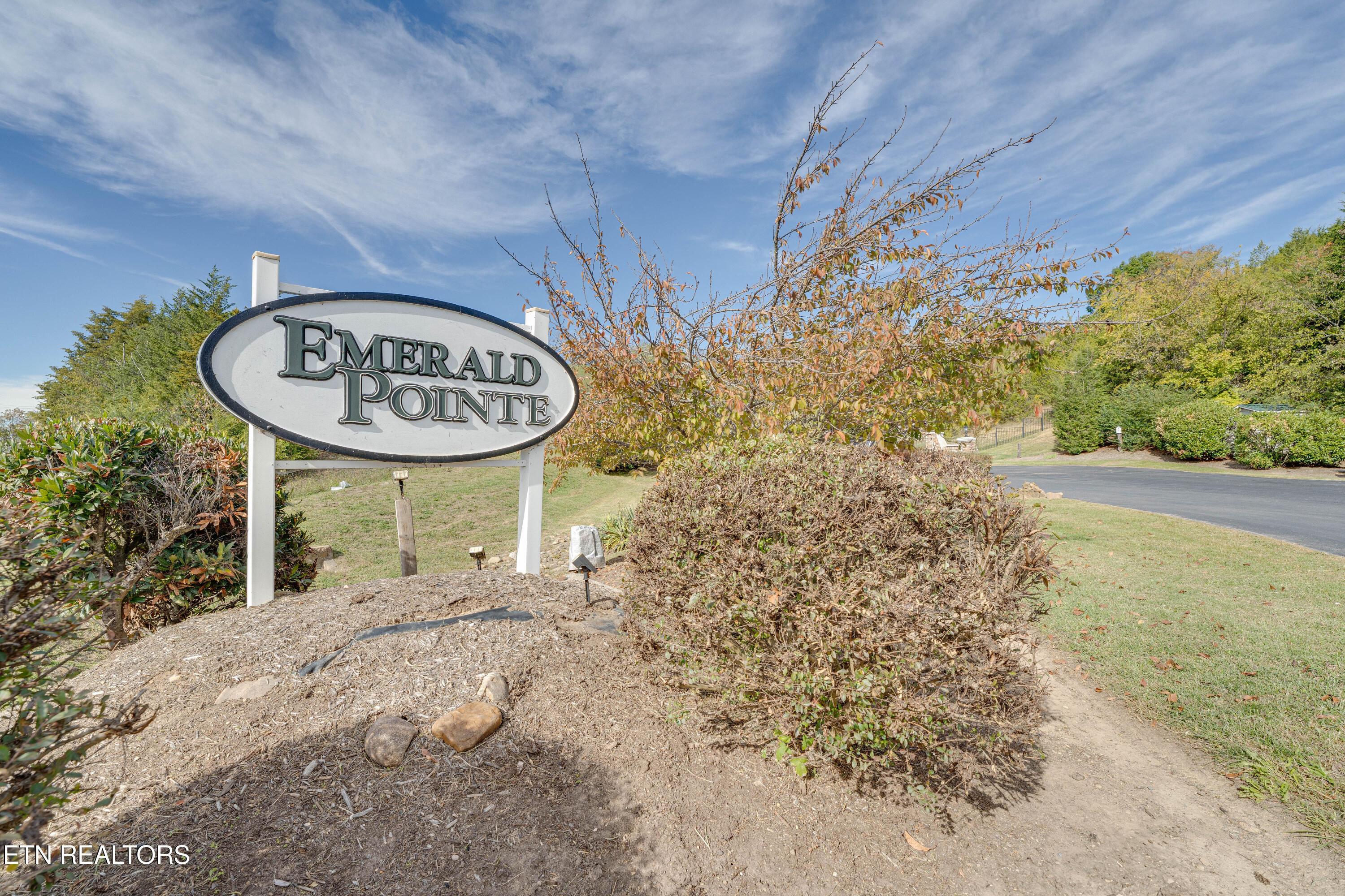 Image 2: Emerald Pointe Sign A1