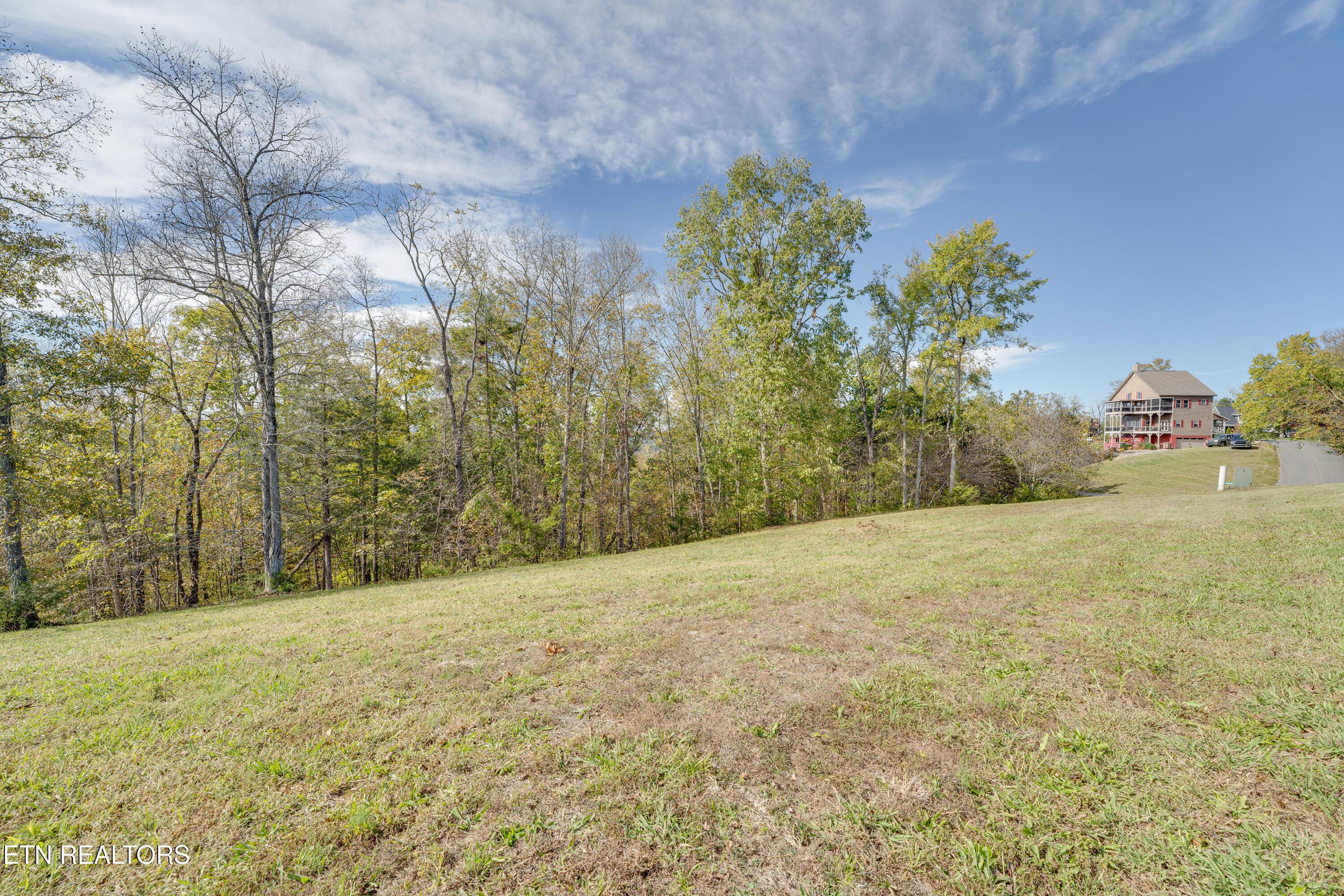 Image 3: Ground Photo A1