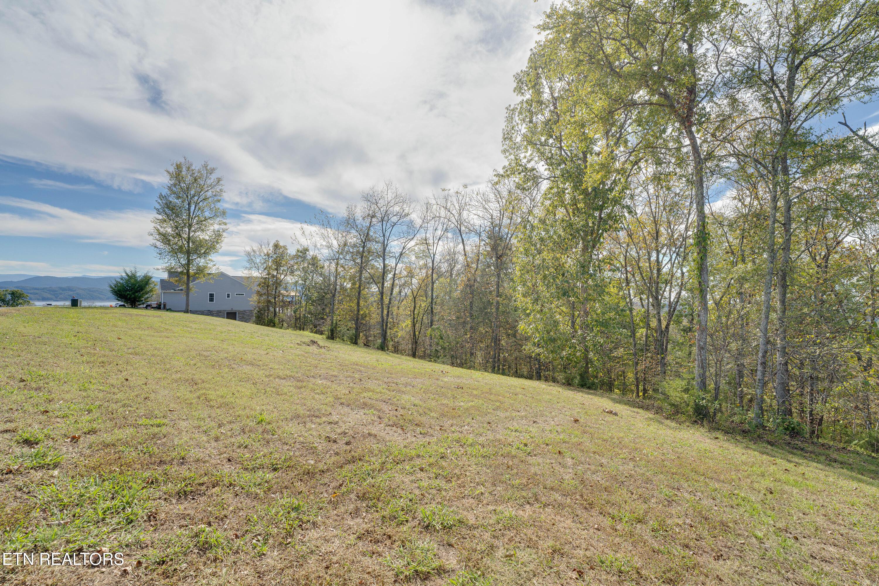 Image 4: Ground Photo A2
