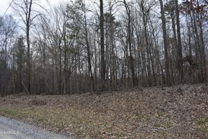 Lot 14 Jones Ridge Rd