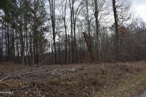Lot 15 Jones Ridge Rd