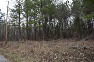 Lot 16 Jones Ridge Rd
