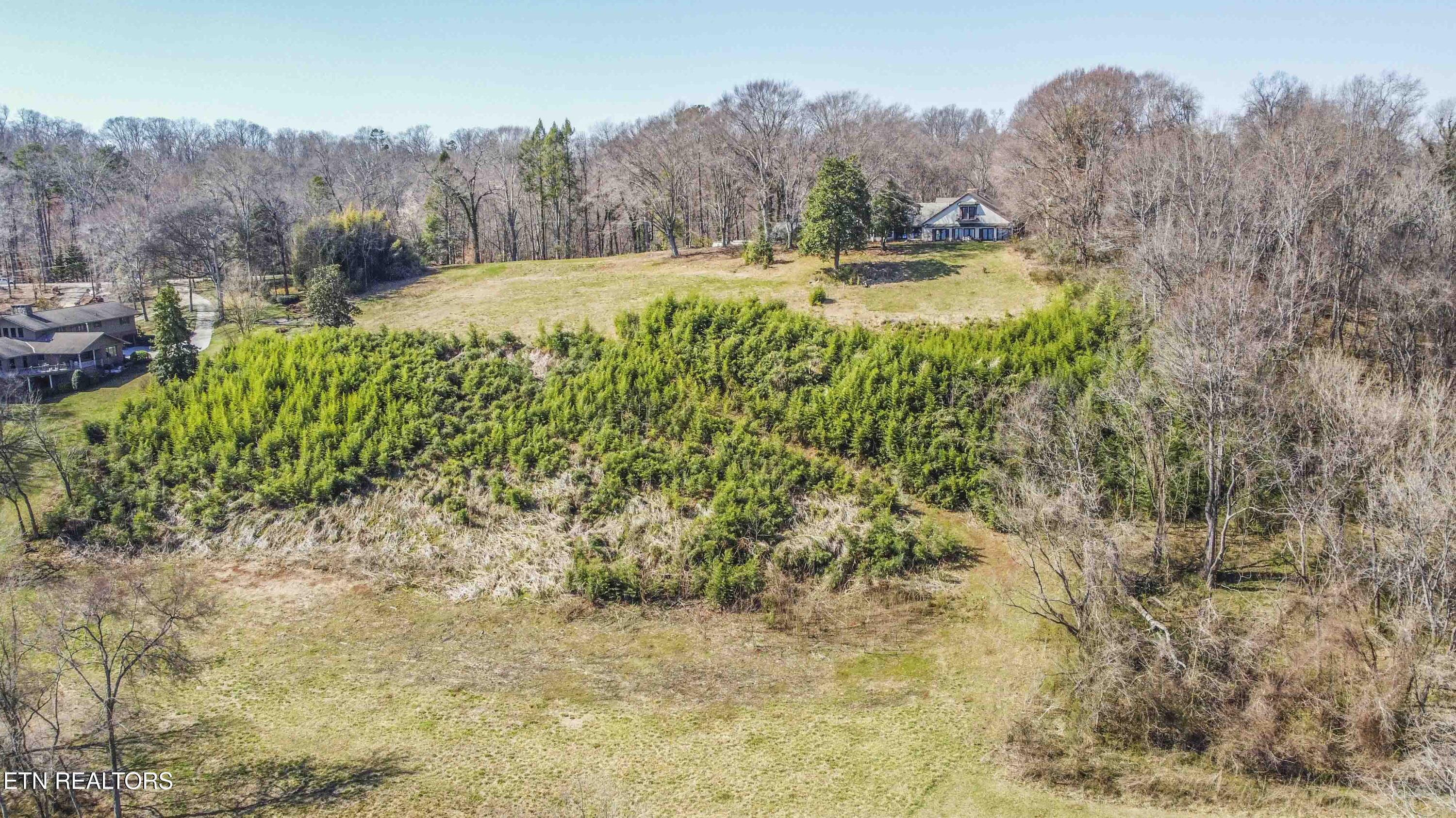 Image 1: buckhead1