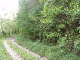 487 Harris Branch Rd