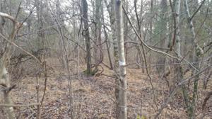 123 Okema Lane 14