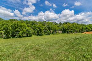 4816 Willow Bluff Circle