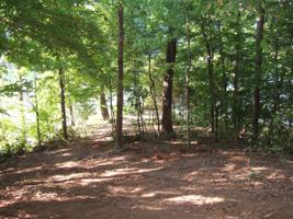 Lot 50 Mountain Shores Rd