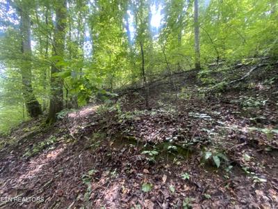 Lot 64 Hiwassee View Drive