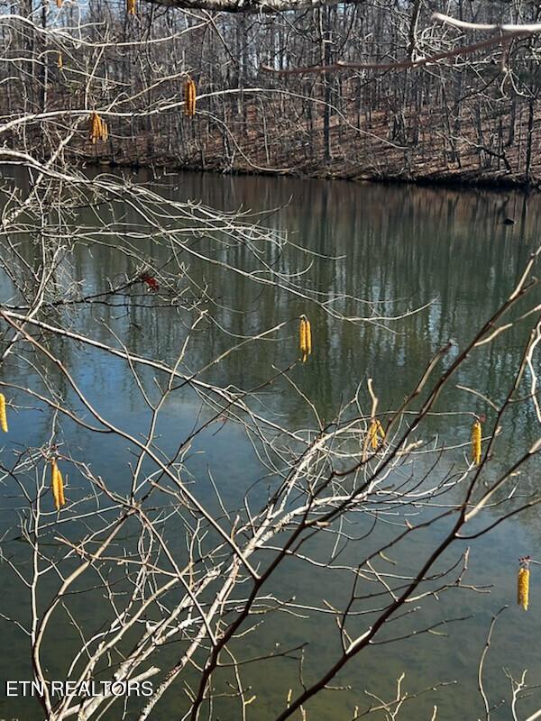 Image 4: CrystalPointe_67631_4