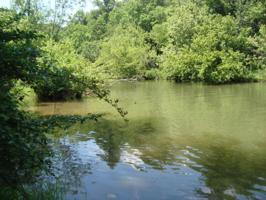 Lot 4a  Welch Rd.