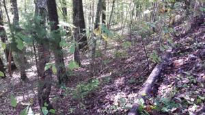 Lot 60 Hiwassee View Drive