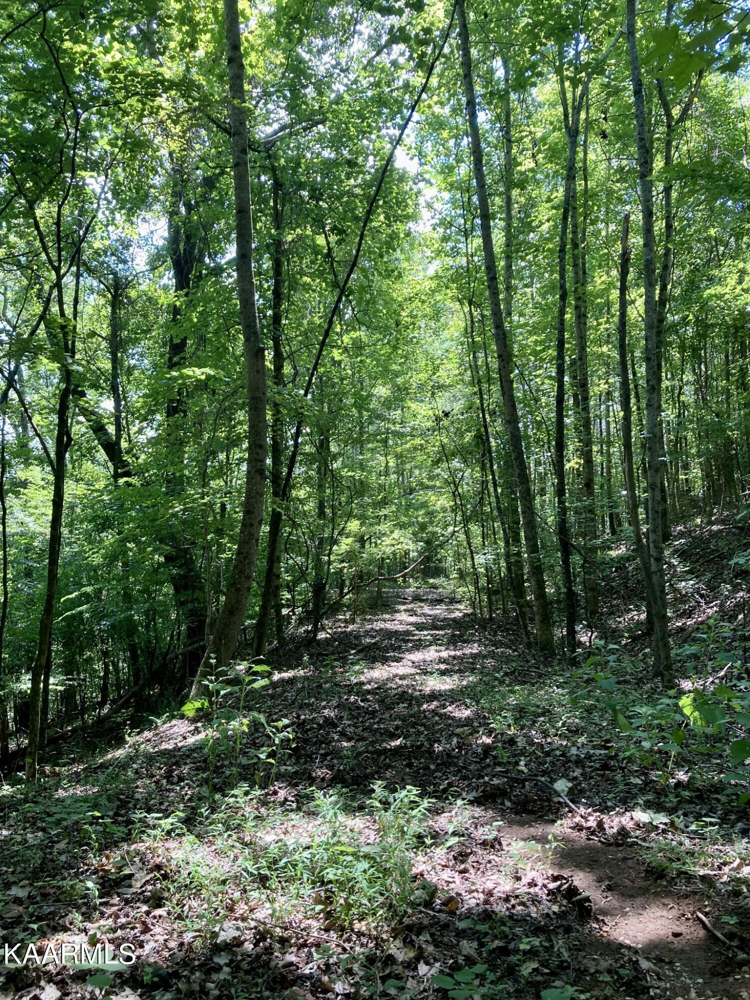 Image 3: 2