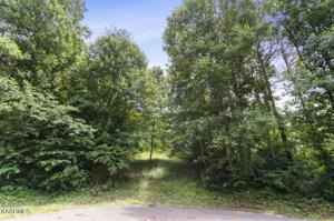 Lot 123R Kennesaw Court