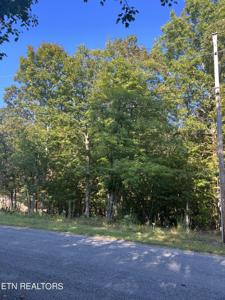 131 Hedgewood Point