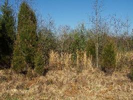 Lot 15 Block 4 Pocola Way 15
