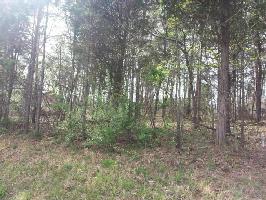 305 Tahlequah Dr  12