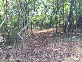 Lot 46 Dudi Tr