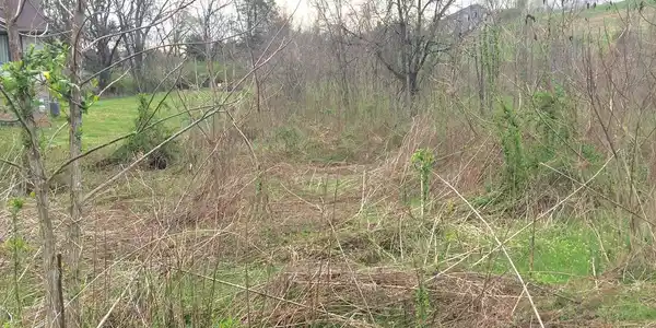 Lot 14 Haley Woods -
