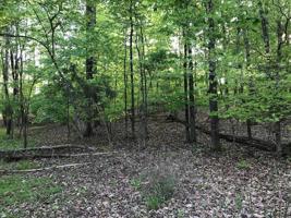 Lot 29 Goweli Trail
