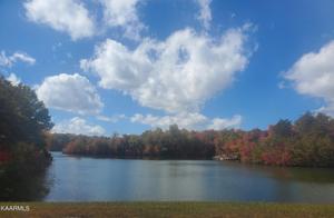Lot 8 Laurel Loop
