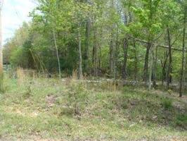 221 Saint George Drive 61