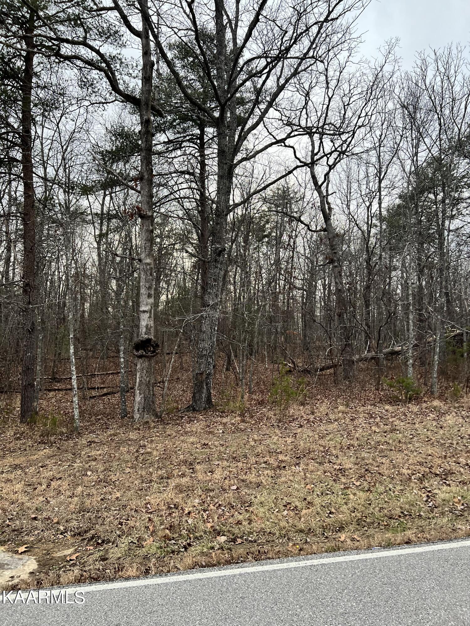 Image 1: 314 Westchester Drive