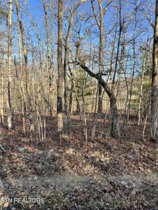 153 Manchester Rd