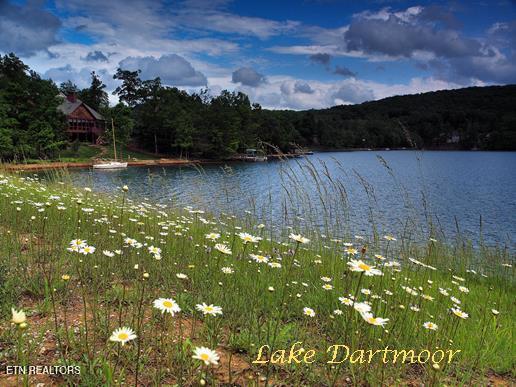 Image 4: 04 Lake Dartmoor