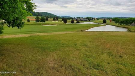128 Smokies View