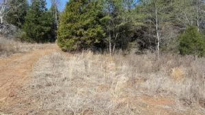 Bat Creek Rd