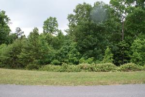 Lot 106 Indian Shadows Drive 106