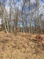 361 Snead Drive 27