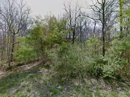 2022 Coyote Drive