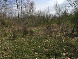 275 Hipsher Hollow Rd