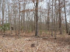 3421 Warpath Drive 508