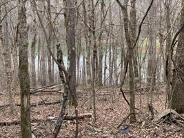 Lot A/0010 Hope Creek Rd