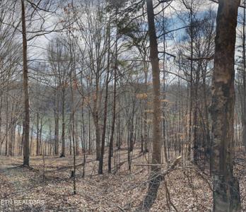 Lot 48&49 Mountain Shores Road