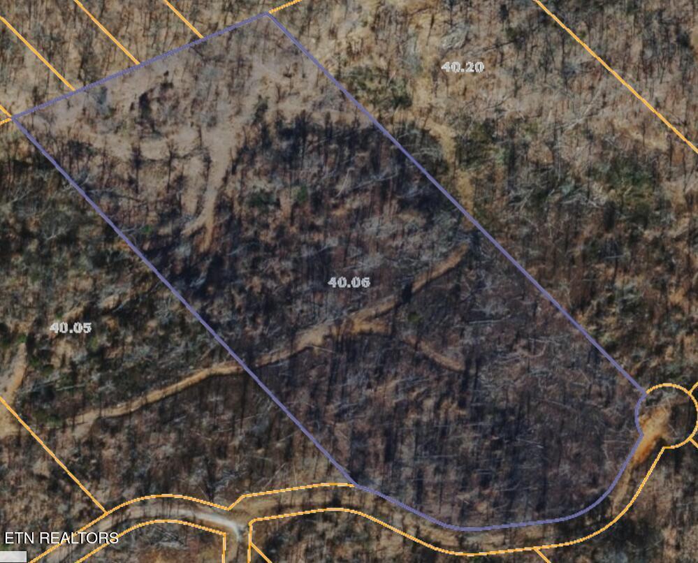 Image 2: Lot 7 lake lane