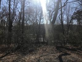 405 Oonoga Place 5