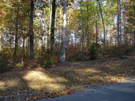 Lot 56 Blount Circle Circle