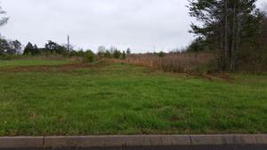 Lot 94 Red Wing Drive