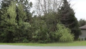 106 Amohi Way 3
