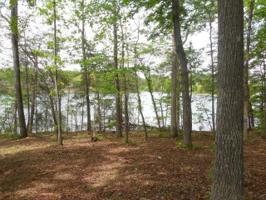 238 Chickasaw Lane