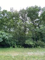 113 Lewellen Lane