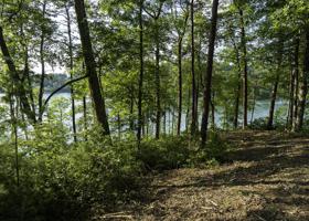 Lot 13 Cypress Drive
