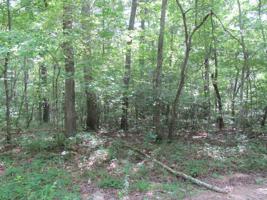 115 Hunterwood Lane