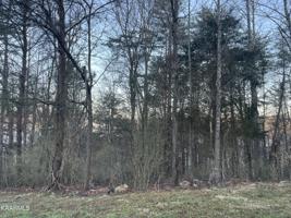 lot 14 Hiwassee Drive
